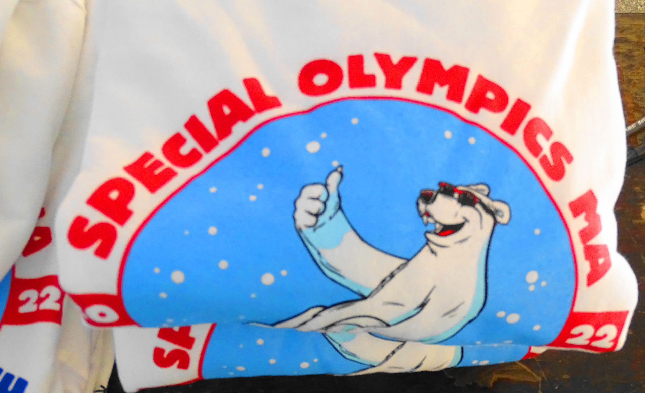 Video Polar Plunge in Harwich Port raises 20,000 for Special Olympics