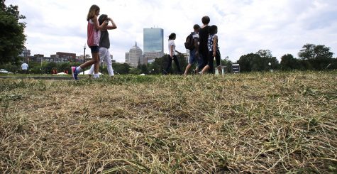 FILE - In this July 15, 2016, file photo, tourists walk past parched, brown grass on the Boston Common in Boston. Much of the Northeast is in the grips of a drought that has led to water restrictions, wrought havoc on gardens and raised concerns among farmers. (AP Photo/Charles Krupa, File)
