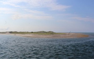 CCB MEDIA PHOTO A large "knob" has grown from sand deposits at the tip of Sandy Neck, while further west down the coast, beaches in Sandwich have been starved of sand.