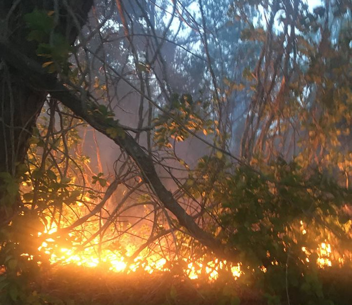 falmouth fire boat falmouth fire rescue uses boat to reach brush fire on falmouth fire boat falmouth fire rescue uses boat to reach brush fire on