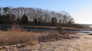 CCBMEDIA PHOTO Gooseberry Island is a 4-acre undeveloped piece of land just offshore in Popponessett Bay in Mashpee.