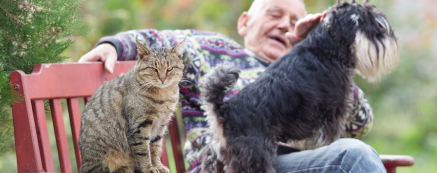 cat calm radio