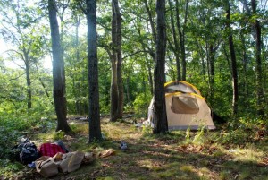 CCB MEDIA PHOTO A campsite in the woods just steps from the Saint John Paul II High School tennis courts.