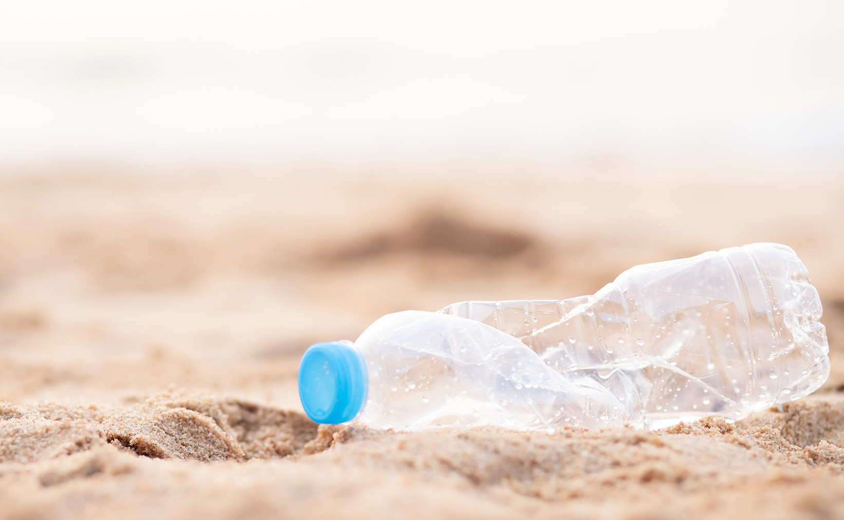 State to Stop Buying SingleUse Bottles to Protect Coastlines from