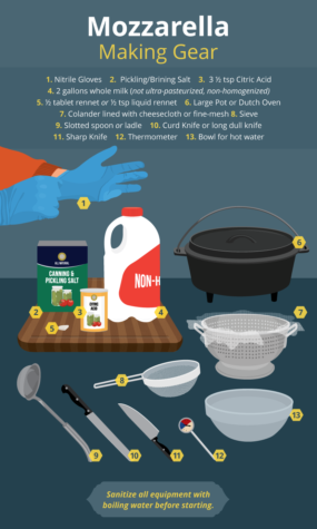 How to Make Mozzarella Cheese