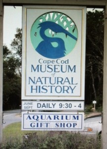 COURTESY CAPE COD MUSEUM OF NATURAL HISTORY