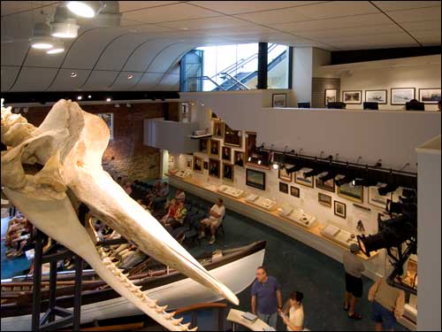 COURTESY NANTUCKET HISTORICAL ASSOCIATION The Nantucket Whaling Museum has a new exhibit on the fate of the whale ship Essex.