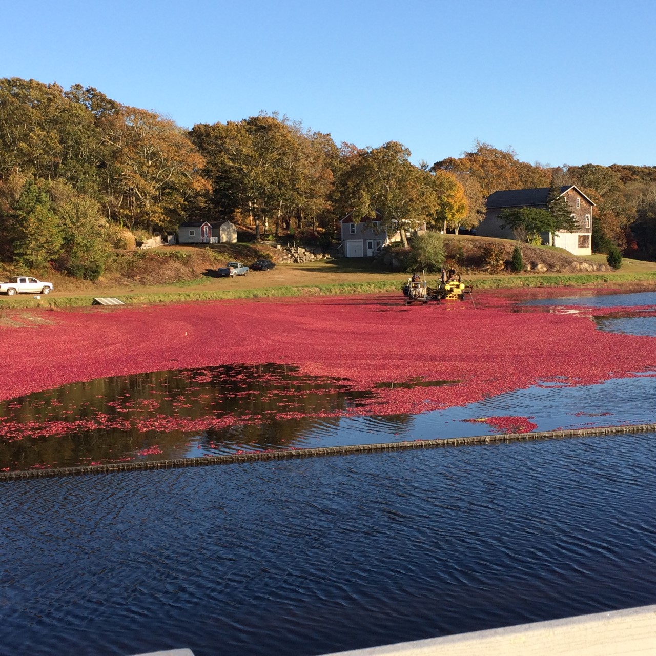 First Steps Taken for Bayview Bogs Restoration Project