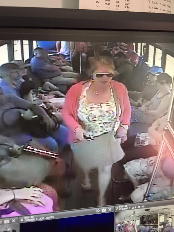 Oak Bluffs Police seek woman in theft investigation