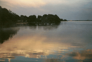 COURTESY OF THE OYSTER POND ENVIRONMENTAL TRUST