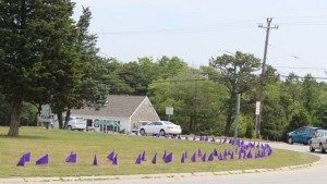 CCB MEDIA PHOTO Purple flags were placed at the Mashpee Rotary to honor those in the state who died from drug overdoses last year.