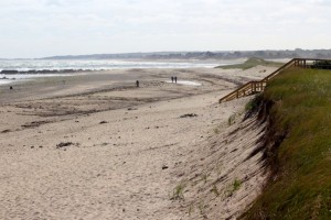 CCB MEDIA PHOTO The dunes of Town Neck Beach in Sandwich are carved from severe erosion.