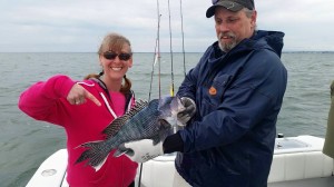 sea bass