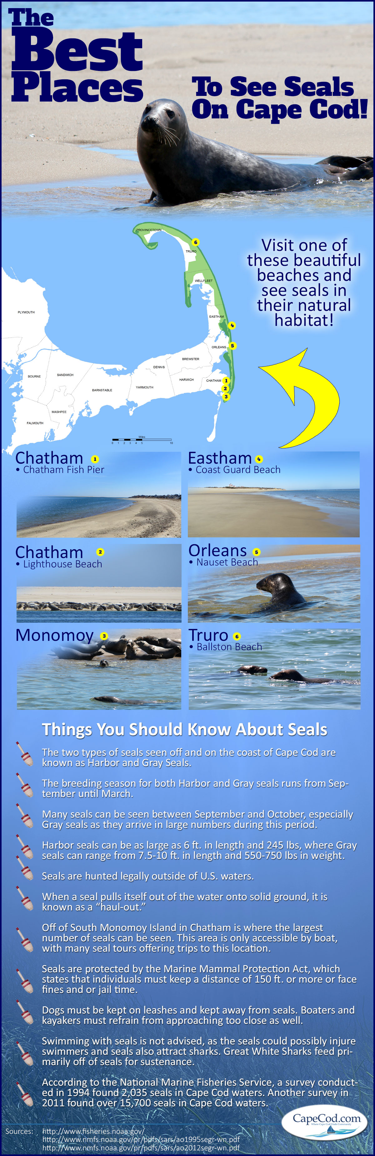 sealsInfographic_high