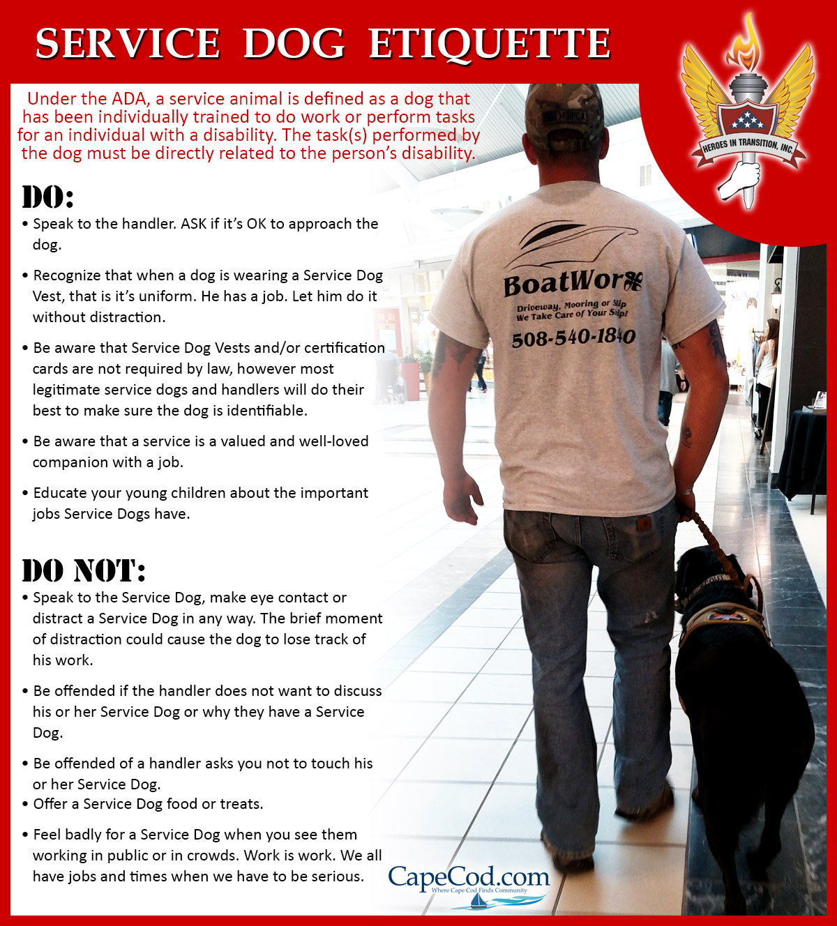 That Girl s Blog Service Dog Etiquette CapeCod That Girl s Blog Service Dog Etiquette CapeCod