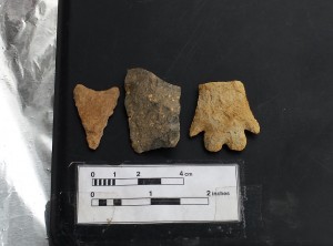 CCB MEDIA PHOTO Stone points uncovered during the Taylor-Bray Farm arcaeological project this fall. A paleoindian point, middle, could be over 10,000 years old. A bifurcate base point, right, could be 8,000 to 10,000 years old.