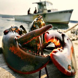 summer_lobster_500