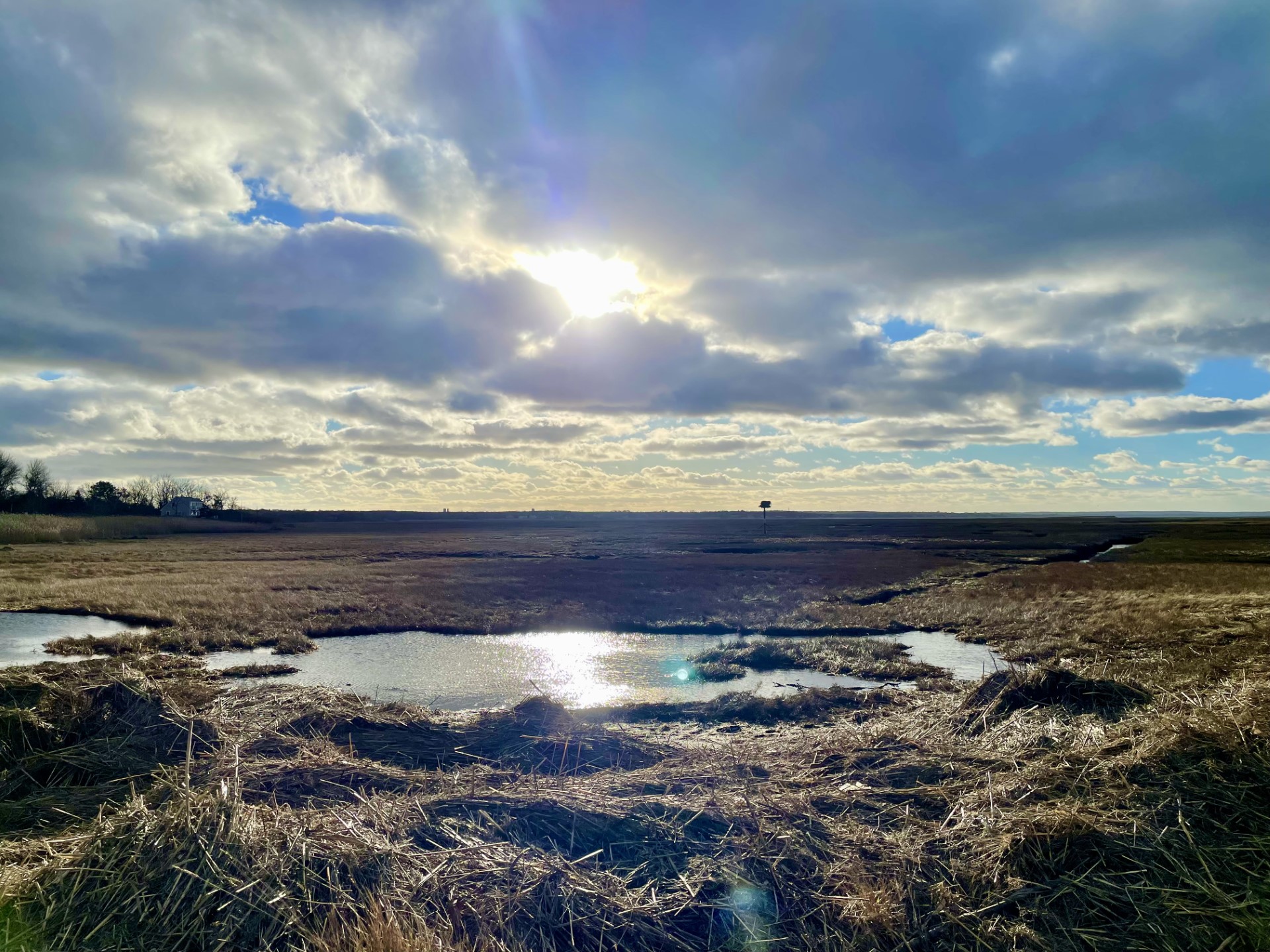 Sunday photo essay: Sunshine on a cold day