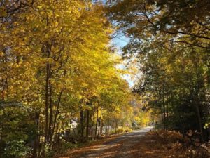 Shining Sea Bike Path