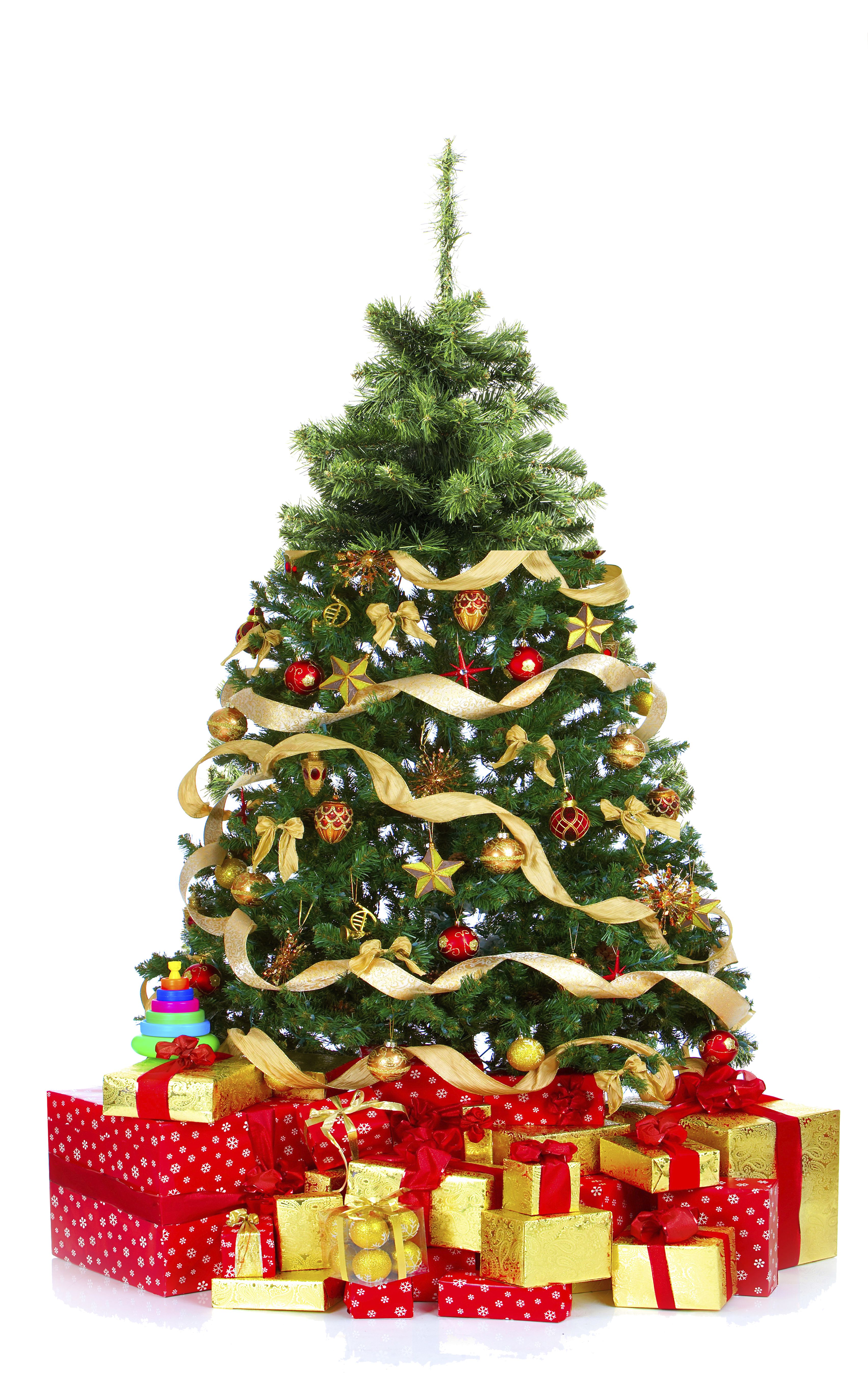 christmas trees donated to those in need christmas trees donated to those in need